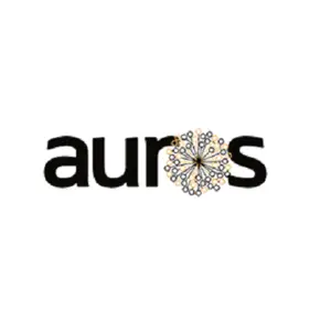 Auros Knowledge Systems - Livonia, MI, USA