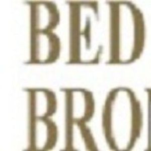 Bed Bugs Bronx - Bronx, NY, USA