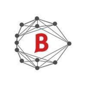 Blockchain Expert Solution - Afton, WY, USA