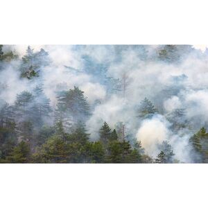 Bluegrass Smoke Damage Experts - Lexington, KY, USA