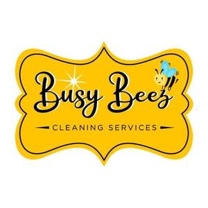 Busy Beez Cleaning Services LLC - Tampa, CA, USA