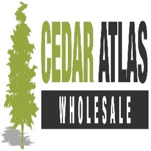 Cedar Atlas wholesale - Las Vega, NV, USA