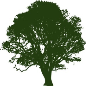 Stallworth's Tree Service Huntsville - Hunstville, AL, USA