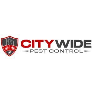 City Wide Pest Control Adelaide - Adelaide, SA, Australia