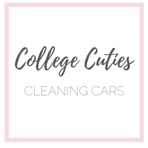 College Cuties Cleaning Cars Scottsdale Arizona 85251