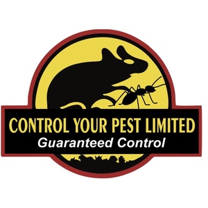 Control Your Pest limited - Hendon, London E, United Kingdom