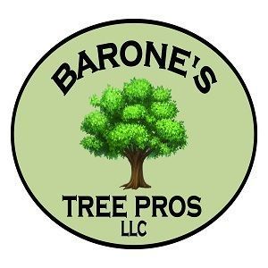 Barone's Tree Pros - Brandon, MS, USA