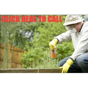 Washington DC Pest Control - Washington, DC, USA