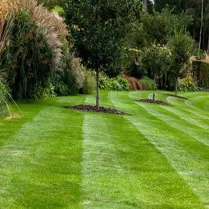 A5 Landscaping and Tree Services - Centreville, VA, USA