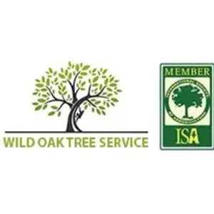 Austin Tree Services Experts - Austin, TX, USA