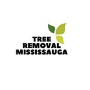 Tree Removal Mississauga - Mississauga, ON, Canada