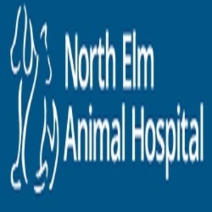 North Elm Animal Hospital
