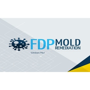 FDP Mold Remediation | Mold Remediation Union - Union, NJ, USA