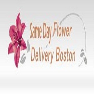 Same Day Flower Delivery Boston - Boston, MA, USA