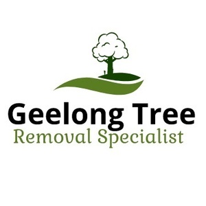 Geelong Tree Removal Specialist