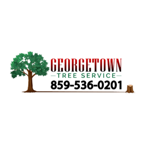 Georgetown Tree And Stump Service - Georgetown, KY, USA
