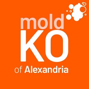Mold KO of Alexandria - Alexandria, VA, USA