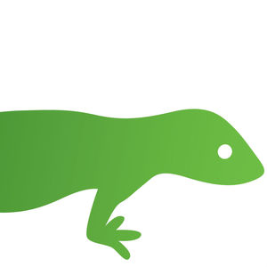 Green Gecko Digital - Leeds, West Yorkshire, United Kingdom