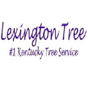 Green Tree Service - Lexington - Lexington, KY, USA