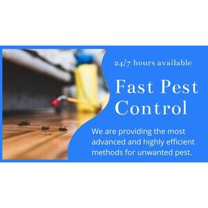 Professional Pest Control Hobart - Hobart, TAS, Australia