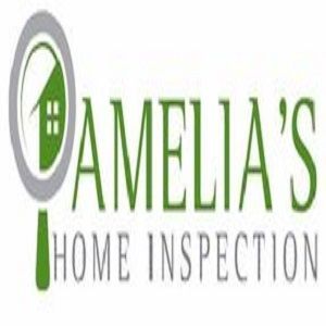 Amelia's Home Inspection Racine - Racine, WI, USA