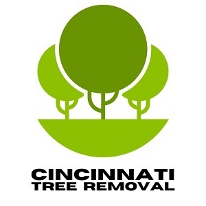 Cincinnati Tree Removal - Cincinnati, OH, USA