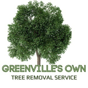 Greenville\'s Own - Tree Removal Service - Mauldin, SC, USA