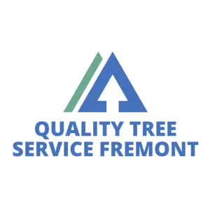 Quality Tree Service Fremont - Fremont, CA, USA