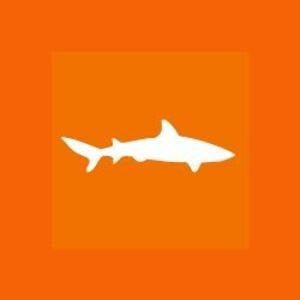 Tax Shark - Sacramento - Sacramento, CA, USA