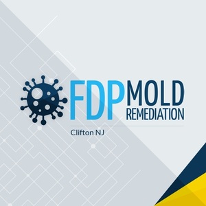 FDP Mold Remediation | Mold Remediation Clifton - Clifton, NJ, USA
