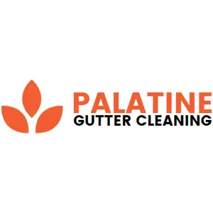 Palatine Gutter Cleaning - Palatine, IL, USA