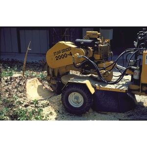 Tree Care Lauderdale - Fort Lauderdale, FL, USA