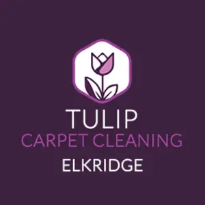 Tulip Carpet Cleaning Elkridge - Elkridge, MD, USA