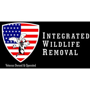 Integrated Bat & Wildlife Removal - Sandy Hook, CT, USA
