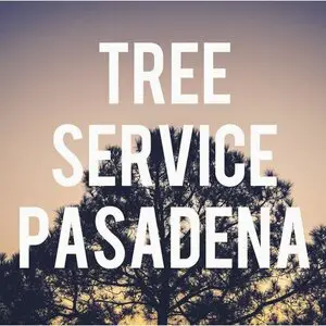 Tree Service Pasadena - Pasadena, CA, USA