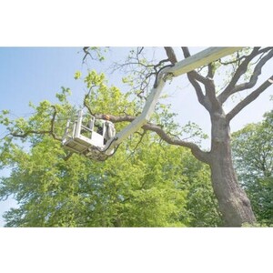 Manchester Tree Service Co - Manchester, CT, USA