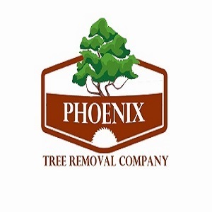 Phoenix Tree Removal Company - Phoenix, AZ, USA