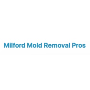 Milford Mold Removal Pros - Milford, NH, USA