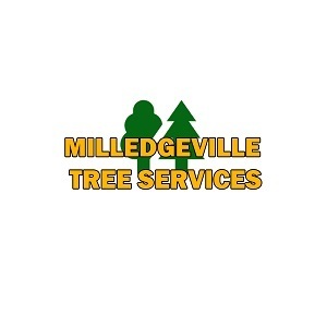 Milledgeville Tree Services - Milledgeville, GA, USA