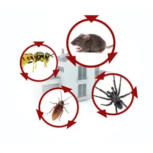 Pest Control Adelaide - Adelaide, SA, Australia