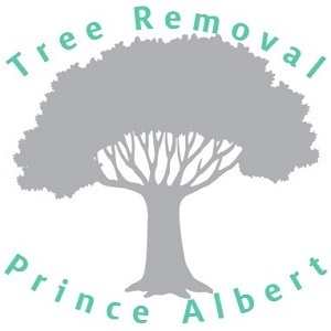 Tree Removal Prince Albert - Prince Albert, SK, Canada