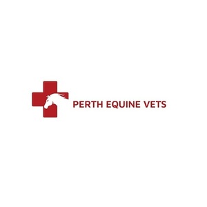 Perth Equine Vets - Perth, London S, United Kingdom