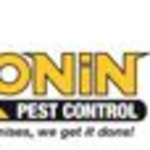 Termite PestControl LongBeach - Lakewood, CA, USA