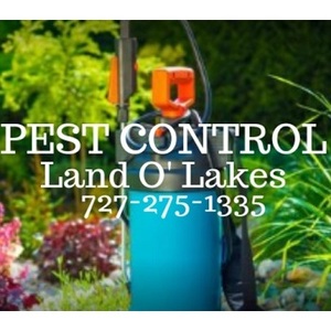 Pest Control Land O Lakes - Land O Lakes, FL, USA