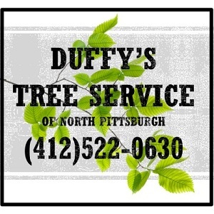 Duffy’s Tree Service Pittsburgh PA - Pittsburgh, PA, USA