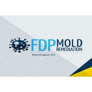 FDP Mold Remediation - Washignton, DC, USA