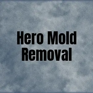 Hero Mold Removal - VA Beach - Virginia Beach, VA, USA