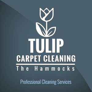 Tulip Carpet Cleaning The Hammocks - Miami, FL, USA