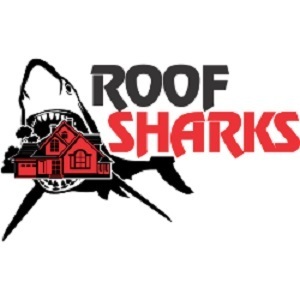 Roof Sharks - Grand Rapids, MI, USA