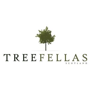TreeFellas Scotland - Glasgow, North Lanarkshire, United Kingdom